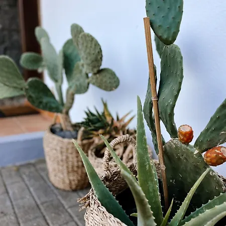 Casa Milena فيلة *