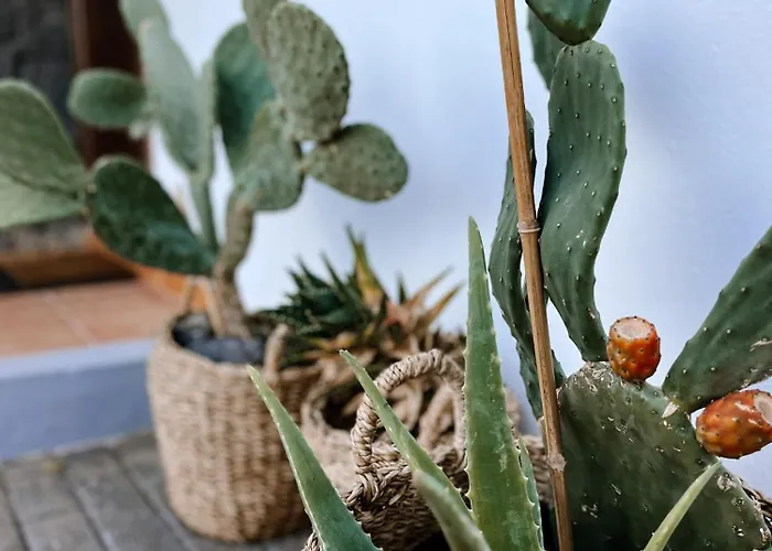 Casa Milena וילה *